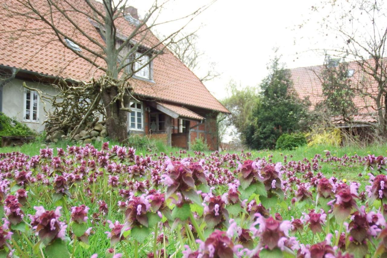 Karft Ferienhof Rauchhaus מראה חיצוני תמונה